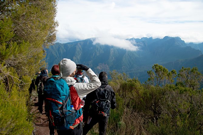 Hiking and Trekking tours in Madeira - Your 9:00 AM Pickup and the Pace of a 7-Hour Day