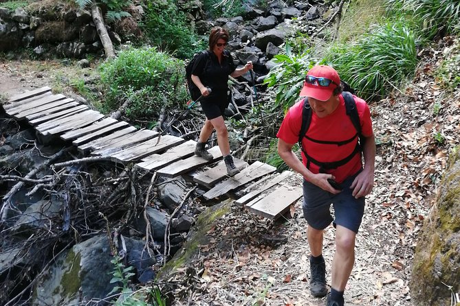Hiking and Trekking tours in Madeira - Photos and Explanations: Why the Guide’s Talk Makes the Walk Better