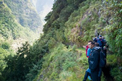 Hiking and Trekking tours in Madeira - What You’ll See Along Madeira’s Levadas: Forest, Volcanic Scenery, and Local Life