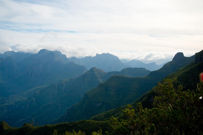Hiking and Trekking tours in Madeira - Small Group of Eight: The Difference You’ll Feel on the Trail