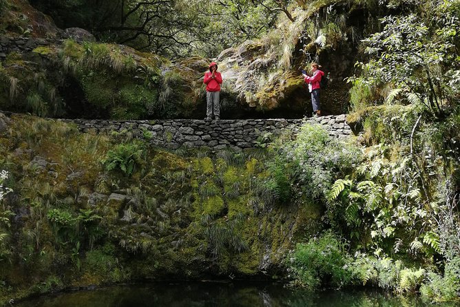 Hiking and Trekking tours in Madeira - Food Planning and the Possibility of a Poncha Stop