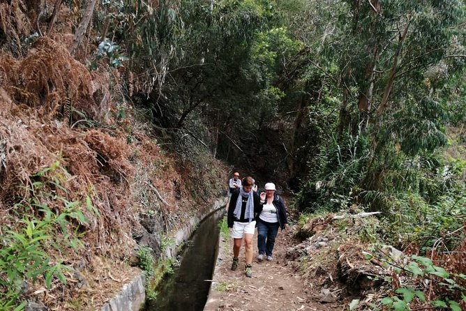Hiking and Trekking tours in Madeira - Who Should Book This Levada Hike (and Who Might Want Another Style)