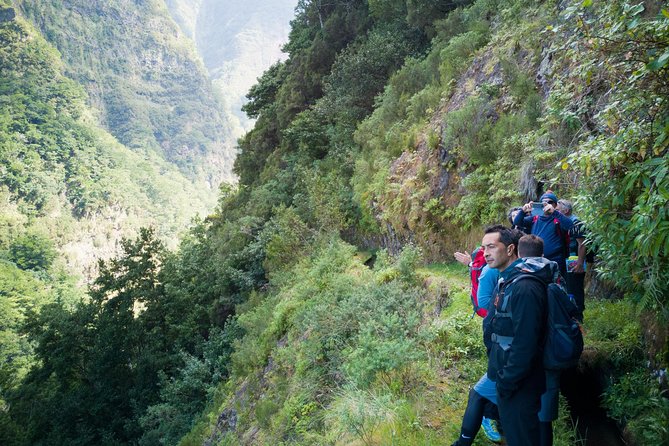 Hiking and Trekking tours in Madeira - What You’ll See Along Madeira’s Levadas: Forest, Volcanic Scenery, and Local Life
