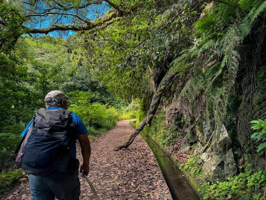 Hiking Madeira: Levada do Rei and the Majestic Laurissilva - Key highlights worth planning around