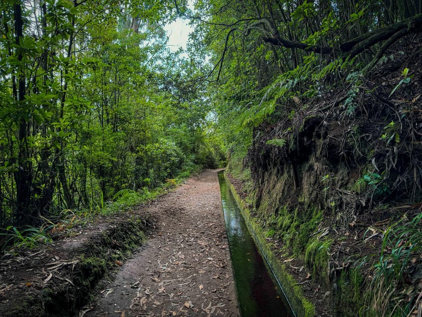 Hiking Madeira: Levada do Rei and the Majestic Laurissilva - Levada do Rei: a smart Madeira hike for your first real day outdoors