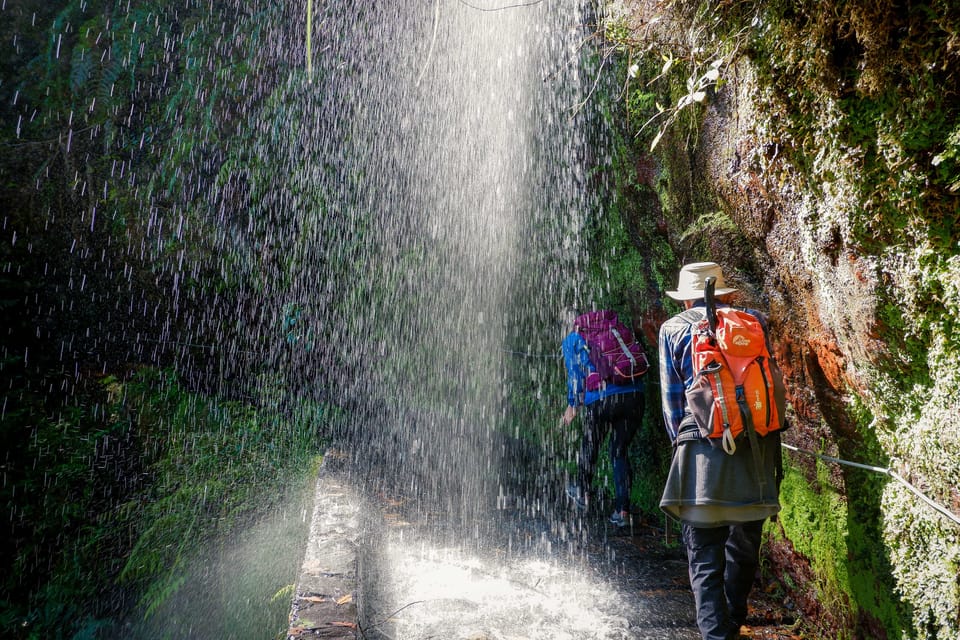 Hiking Madeira: Levada do Rei and the Majestic Laurissilva - Levada do Rei at Quebradas: medicinal plants, introduced species, and valley views