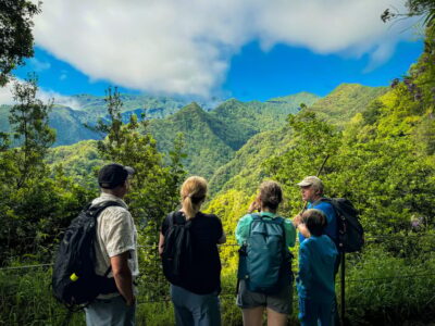 Hiking Madeira: Levada do Rei and the Majestic Laurissilva - Getting picked up from your hotel and settling into the São Jorge drive