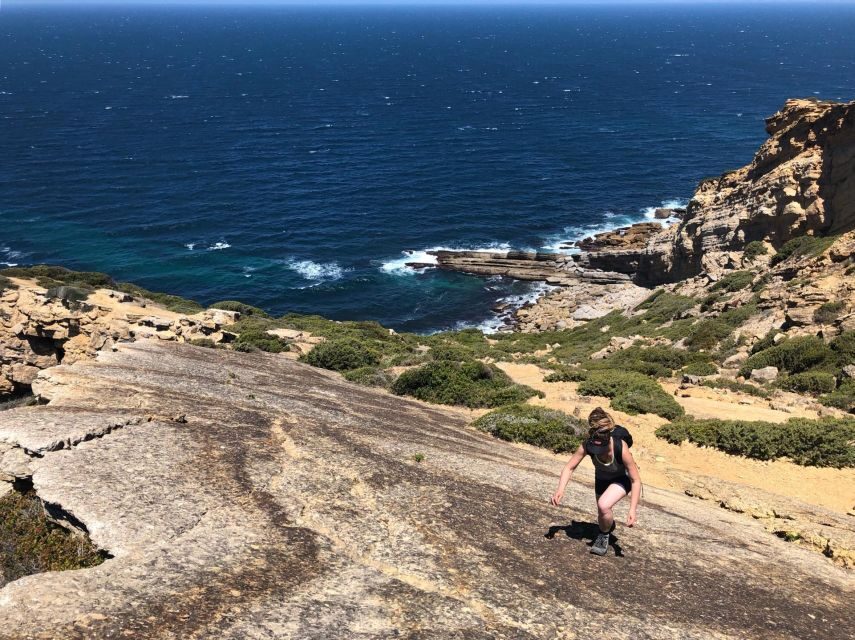 Hiking Tour Along the West Coastline - Who should book (and who should skip)
