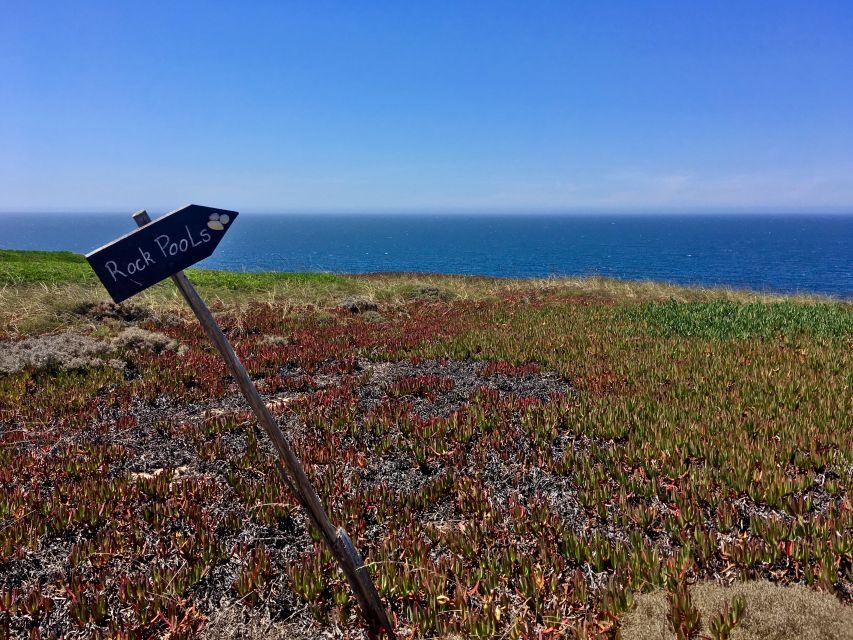 Hiking Tour Along the West Coastline - Getting from Lisbon to Praia das Bicas (the drive that matters)