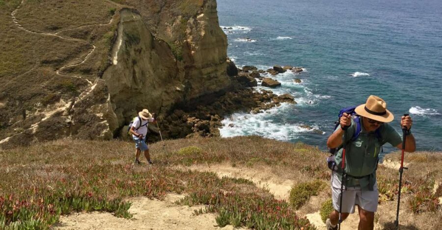 Hiking Tour Along the West Coastline - Arrábida Natural Park vegetation: the “in-between” stretch you’ll remember