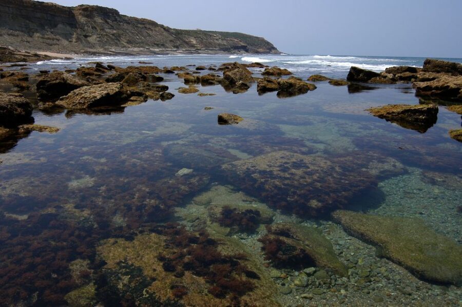 Hiking Tour Along the West Coastline - Price and value: why $118 can make sense here