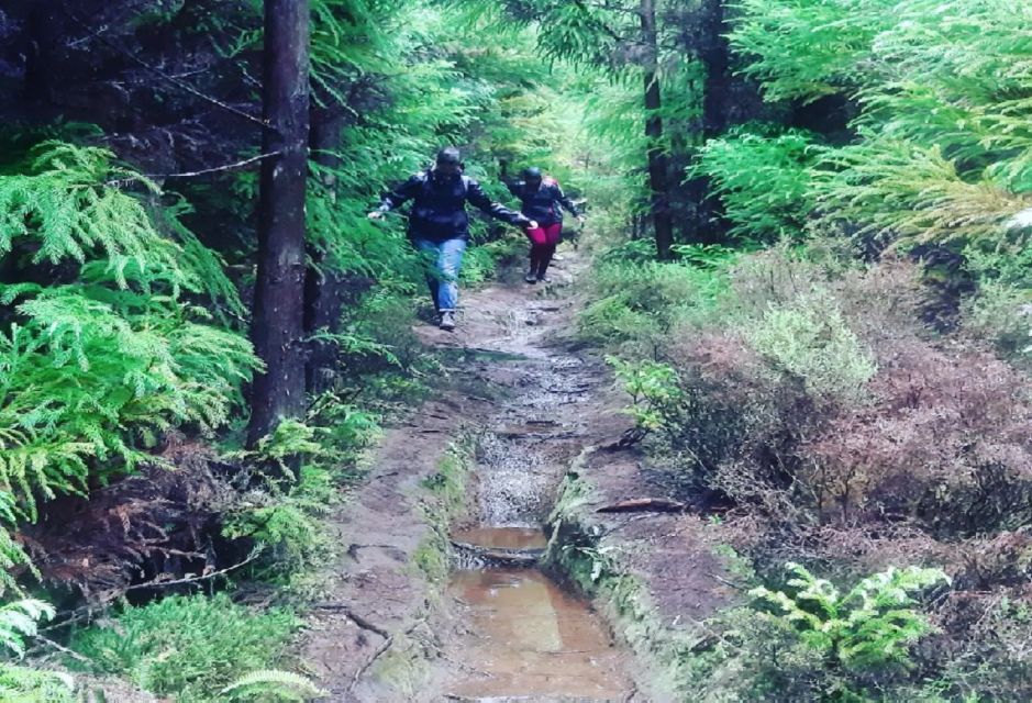 Hiking Trail Mistérios Negros | Terceira Island - Volcanic domes and the “why” behind Mistérios Negros