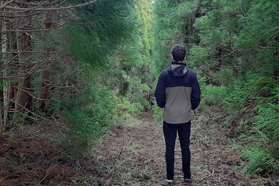 Hiking Trail Mistérios Negros | Terceira Island - Who this hike suits on Terceira—and who should skip it