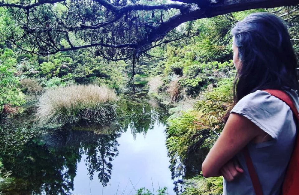 Hiking Trail Mistérios Negros | Terceira Island - Walking 5 km of medium-hard terrain: what it’s like underfoot