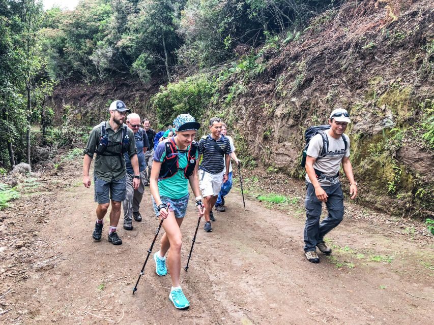 Hiking Trip with a Local - Madeira hiking with a local: why it feels different
