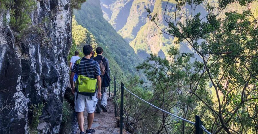 Hiking Trip with a Local - The UNESCO Laurissilva walk: your best bet for a calm, atmospheric hike