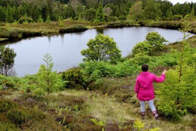 HIKING XL (Full Day Private Tour) - How the guide turns hiking into a photography session