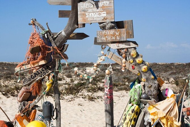 Hop On Hop Off 3 Islands: Deserta, Farol and Culatra - Key Things to Know Before You Go