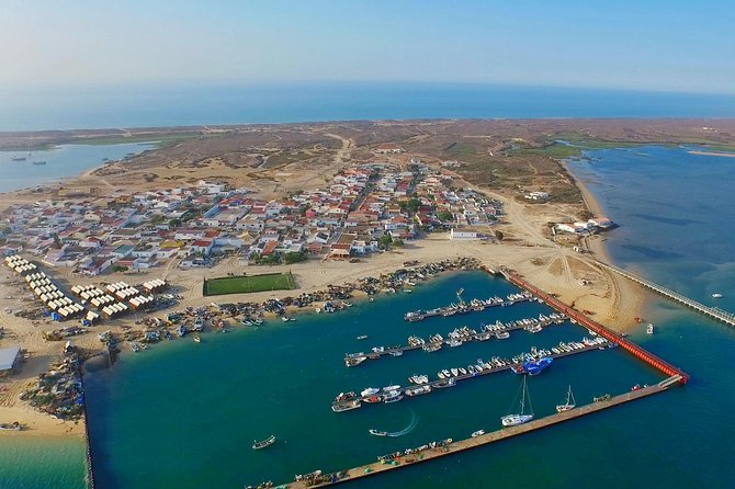Hop On Hop Off 3 Islands: Deserta, Farol and Culatra - Island Stop 3: Ilha da Culatra for the Year-Round Community and Port Life