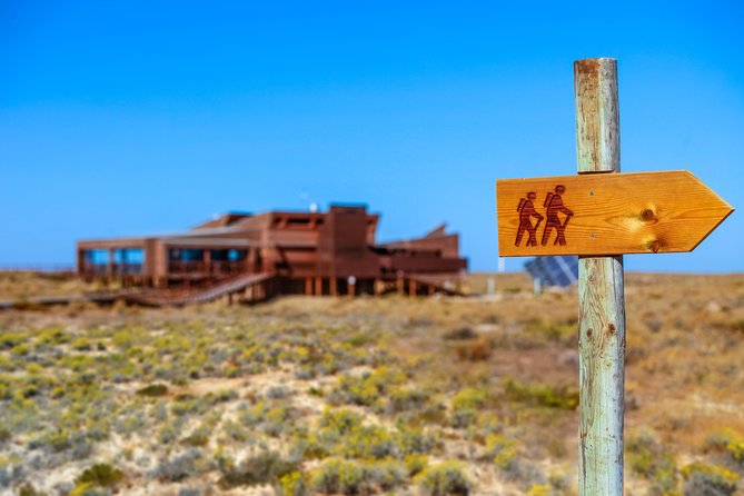 Hop On Hop Off 3 Islands: Deserta, Farol and Culatra - Timing Tips: Build Your Day Around Your Island Style