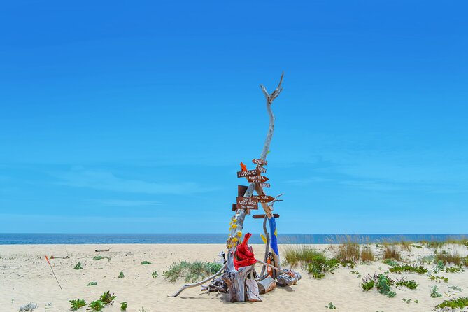 Hop On Hop Off 3 Islands: Deserta, Farol and Culatra - How the Hop-On Hop-Off Shuttle Works (and How to Use It Well)