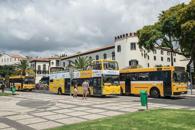 Hop-on Hop-off Bus Tour and Catamaran Whale & Dolphin Watching - Stop-by-stop: what each area is best for