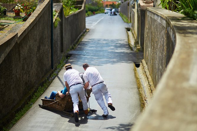 Hop-on Hop-off Bus Tour and Catamaran Whale & Dolphin Watching - Madeira wine and Bordal embroidery: included stops worth building around