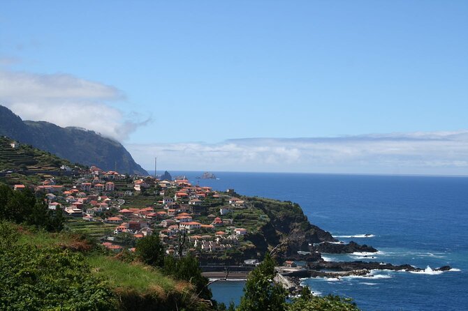 Hop-on Hop-off Bus Tour and Catamaran Whale & Dolphin Watching - Discounts and extra Yellow Bus options