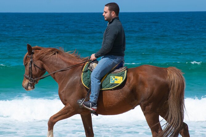 Horse Riding on Melides Beach - Key things to know before you go