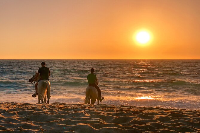 Horse Riding on Melides Beach - Atlantic Forest to the Alentejo Coast: How the Route Actually Feels