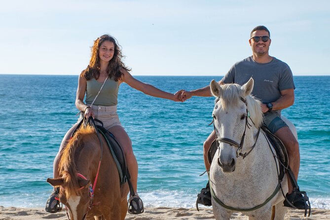 Horse Riding on Melides Beach - Praia de Melides: private-feeling beach time and the right riding expectations