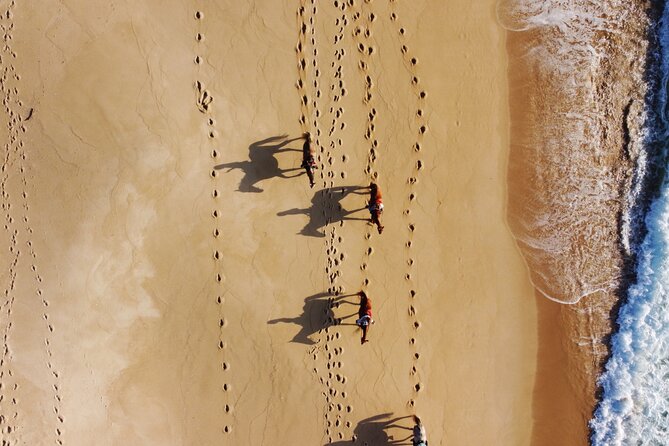 Horse Riding on Melides Beach - Horses by the Beach: guides who keep things friendly and safe