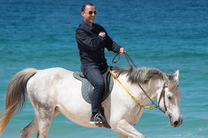 Horse Riding on Melides Beach - The Atlantic Forest segment: shade, calm, and learning the horse rhythm