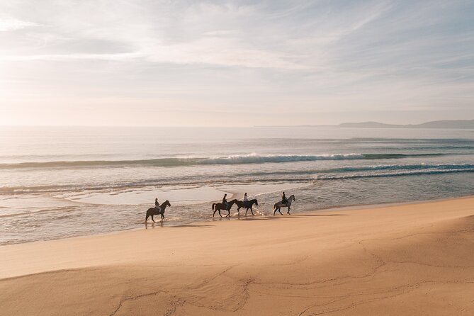 Horse Riding on the Beach with private transfer from Lisbon - Lisbon to Comporta: The Private Transfer Reality Check