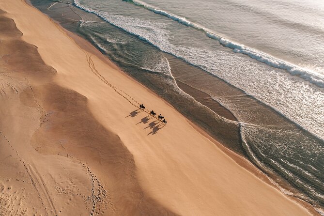 Horse Riding on the Beach with private transfer from Lisbon - What’s Included (and What You Need to Sort Out)