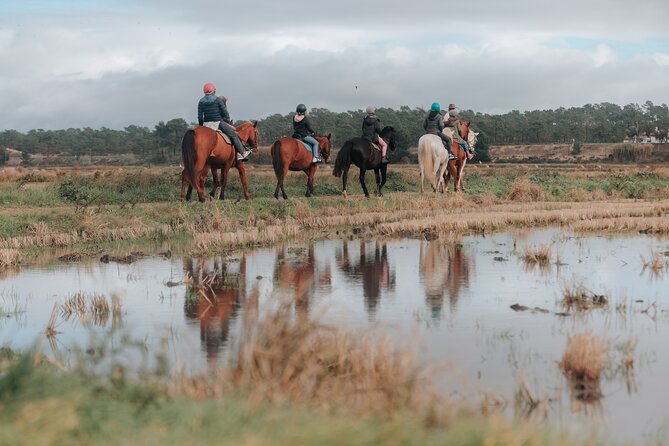 Horse Riding on the Beach with private transfer from Lisbon - Price and Value: Is This $291.56 a Good Deal?