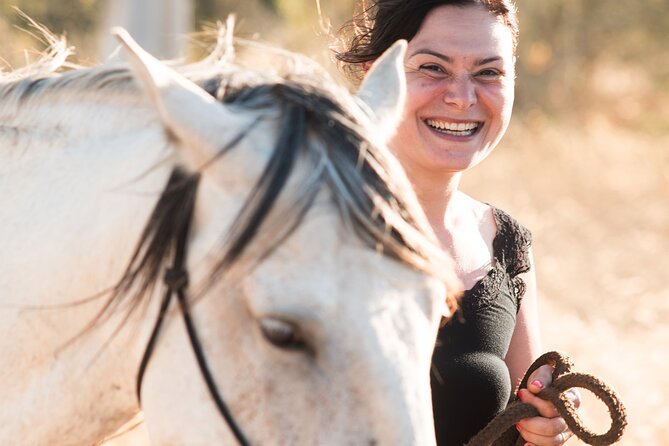 Horse Sanctuary: A nature walk with Rescued Horses by your side - The 4:30 pm itinerary: introductions, brushing, and a field walk