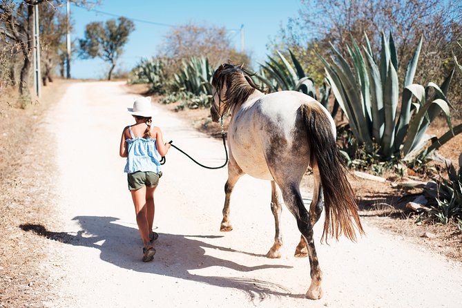 Horse Sanctuary: A nature walk with Rescued Horses by your side - Small-group handling and questions: why 5–7 people is the right size