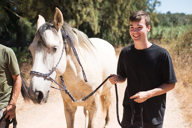 Horse Sanctuary: A nature walk with Rescued Horses by your side - Getting value from $54.22: two hours, but a full experience