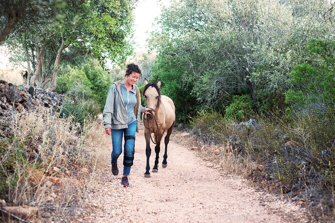 Horse Sanctuary: A nature walk with Rescued Horses by your side - Leading a horse on a lead: what to expect up close