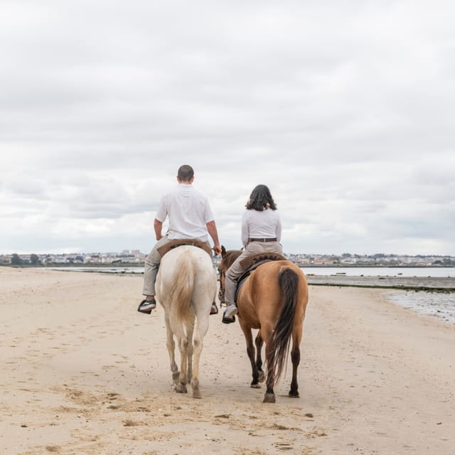 Horseback Riding Through The Beach GROUP - PDT - Who this horseback beach ride suits best