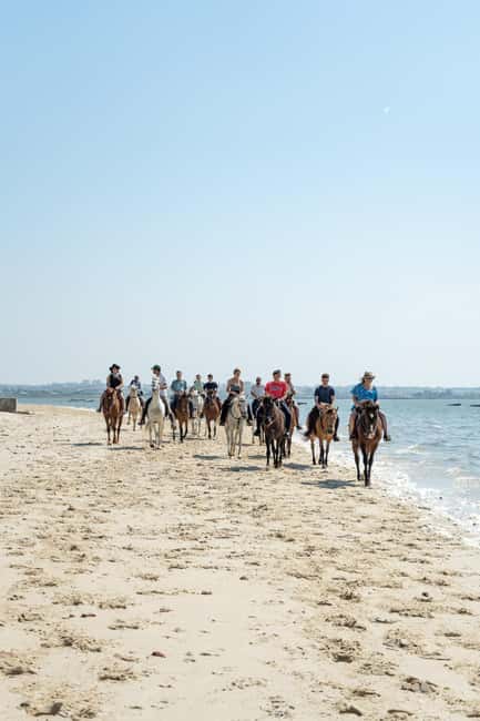 Horseback Riding Through The Beach GROUP - PDT - The 1.5-hour flow: briefing, helmet time, then the sand walk