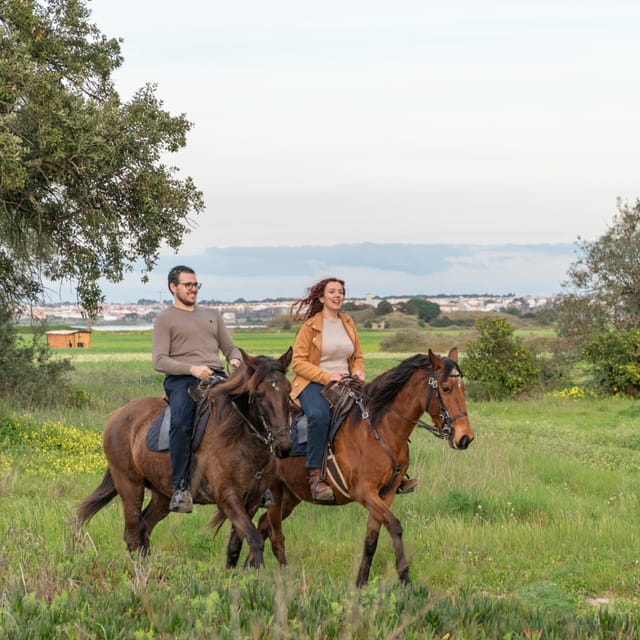 Horseback Riding Through The Beach GROUP - PDT - Group riding reality: up to 10 people, relaxed pace, beginner-friendly coaching