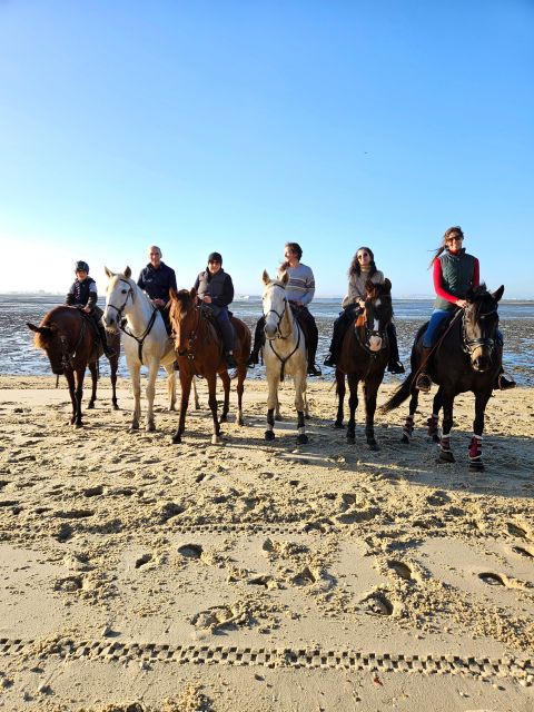Horseback Riding Through The Beach GROUP - PDT - Horses and guides: what to look for when you arrive