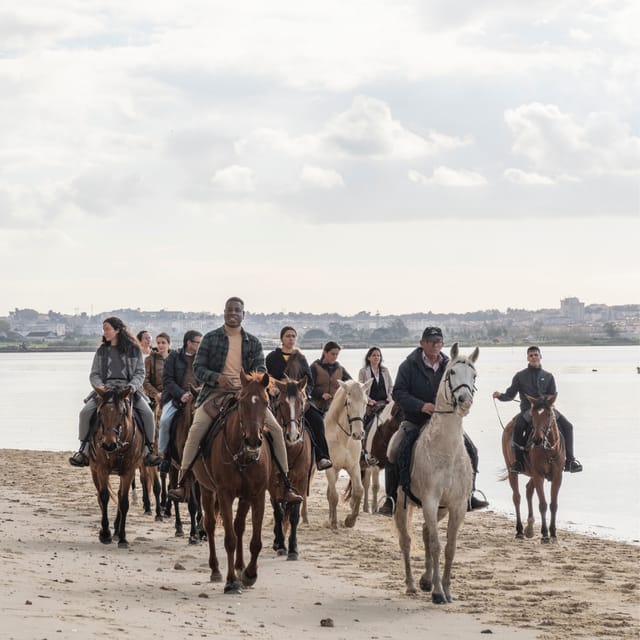 Horseback Riding Through The Beach GROUP - PDT - Scenery on the Tagus: where the ride feels different from a typical stable tour