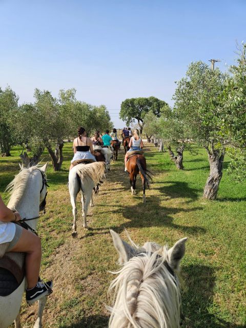 Horseback Riding Through The Beach GROUP - PDT - Price and value: is $135 per person reasonable?