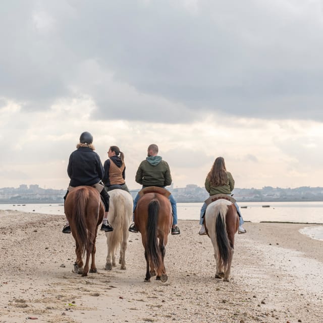 Horseback Riding Through The Beach GROUP - PDT - What to bring (and what not to overthink)