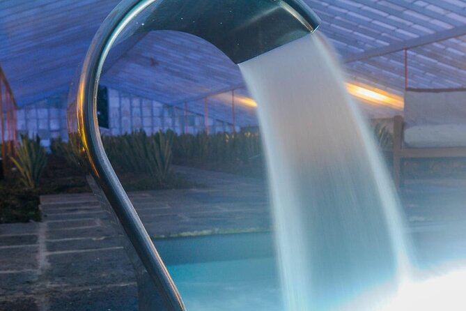 Hot Water Pool Bath Inside Pineapple Plantation & Dinner - The pineapple plantation tour: history, rows, and real growth