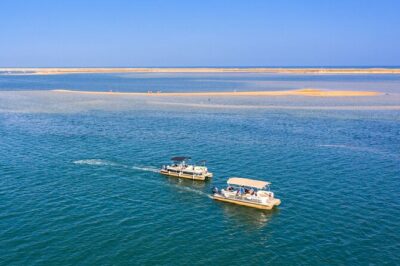 Ilha Deserta and Farol Island: a small group boat trip in Ria Formosa from Faro - Barreta Island (Ilha Deserta): beach time, bird-watching, and quick steps