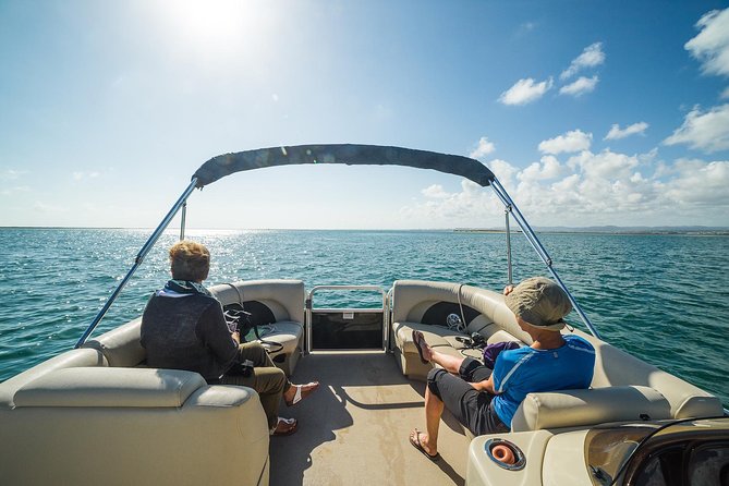 Ilha Deserta and Farol Island: a small group boat trip in Ria Formosa from Faro - Winter vs spring and why wildlife sightings change